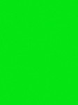 GreenScreen